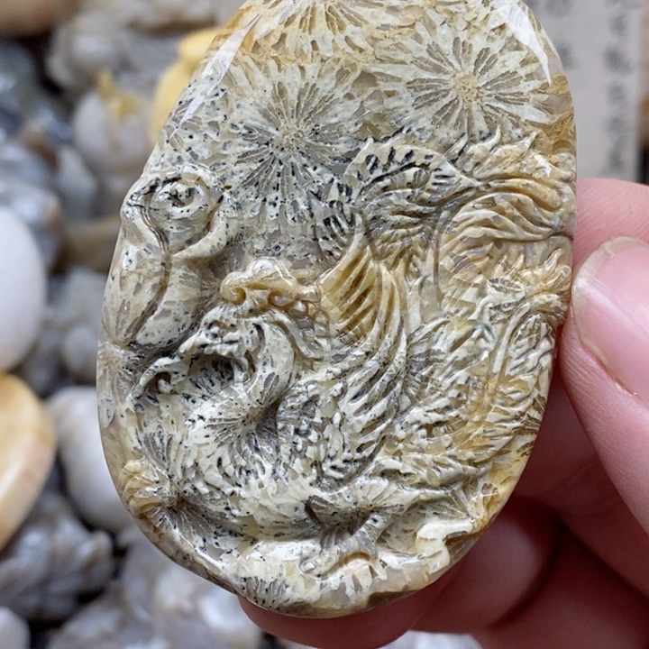 颈饰未镶嵌硅化珊瑚（珊瑚玉）有瑕