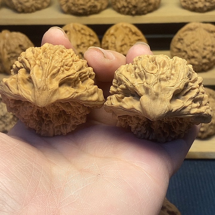 核桃50全品蛇头核桃