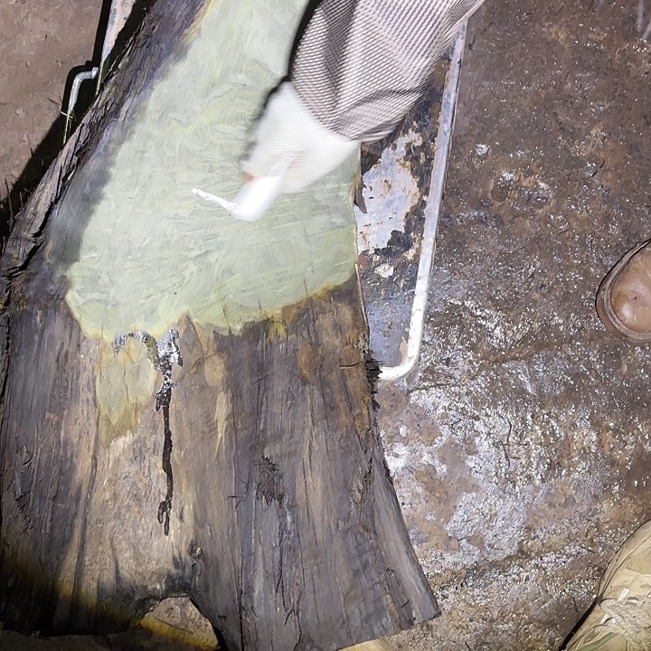 芦***店金丝楠金丝楠阴沉木