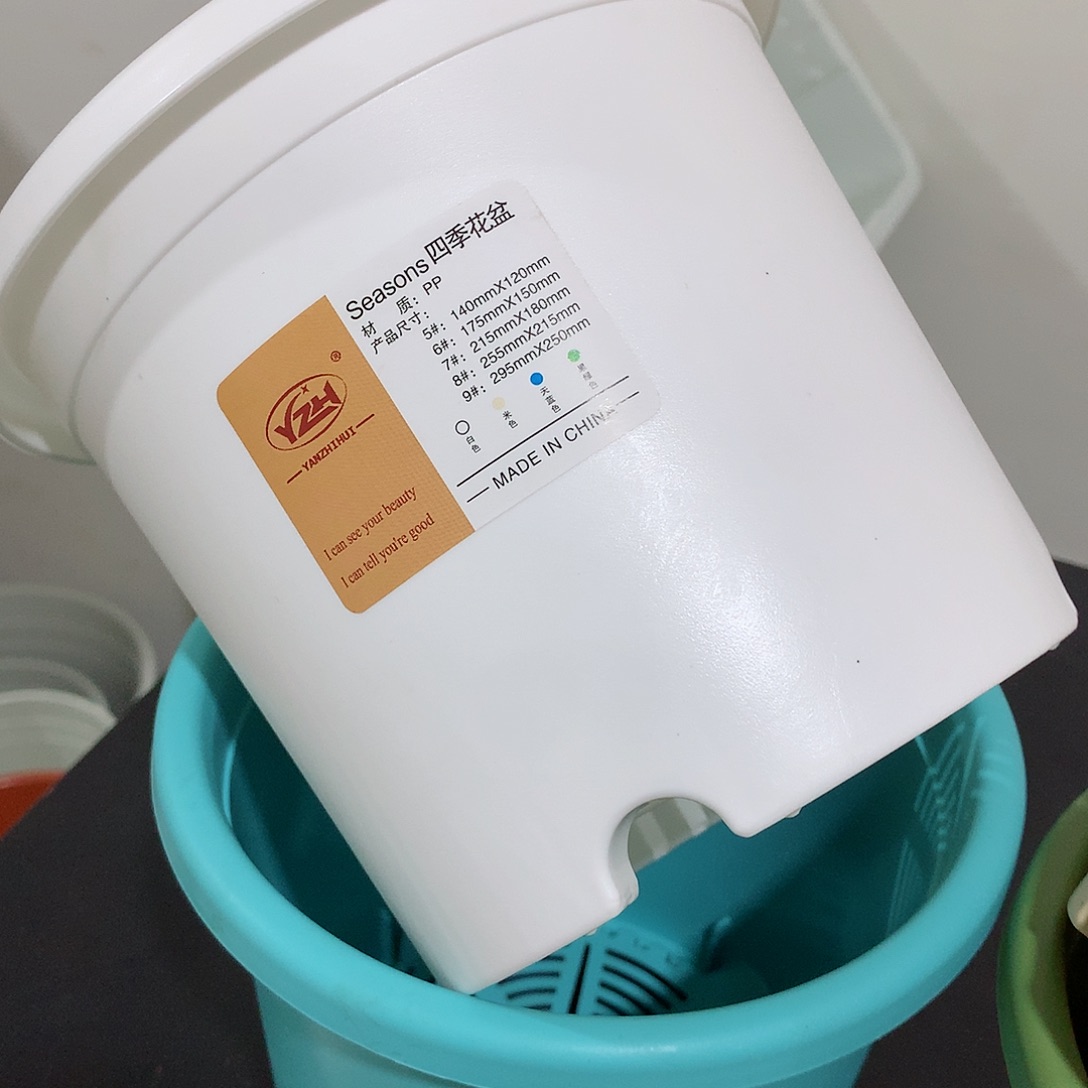 四季口17白10个无托