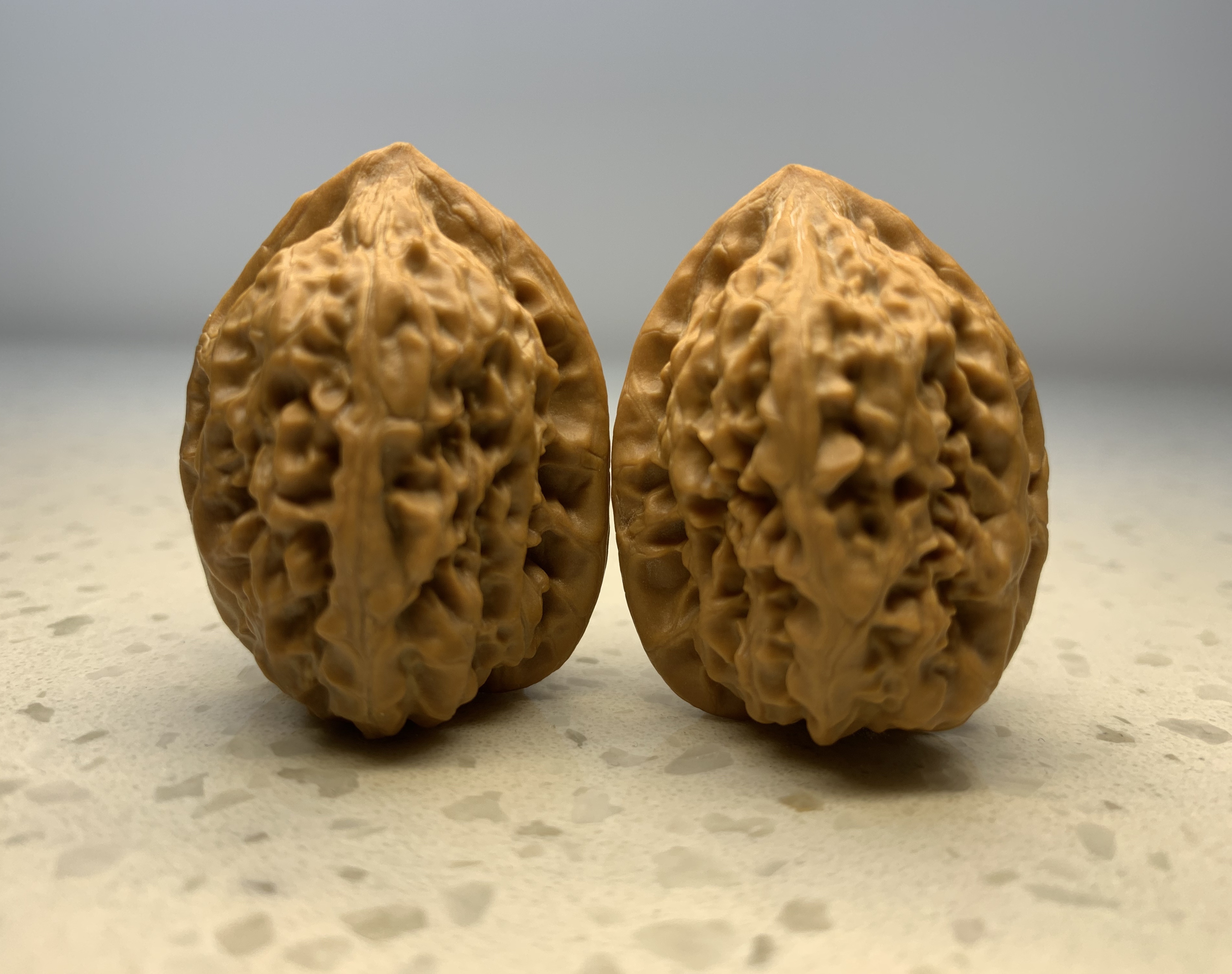 33尺野生鸡心(微修)