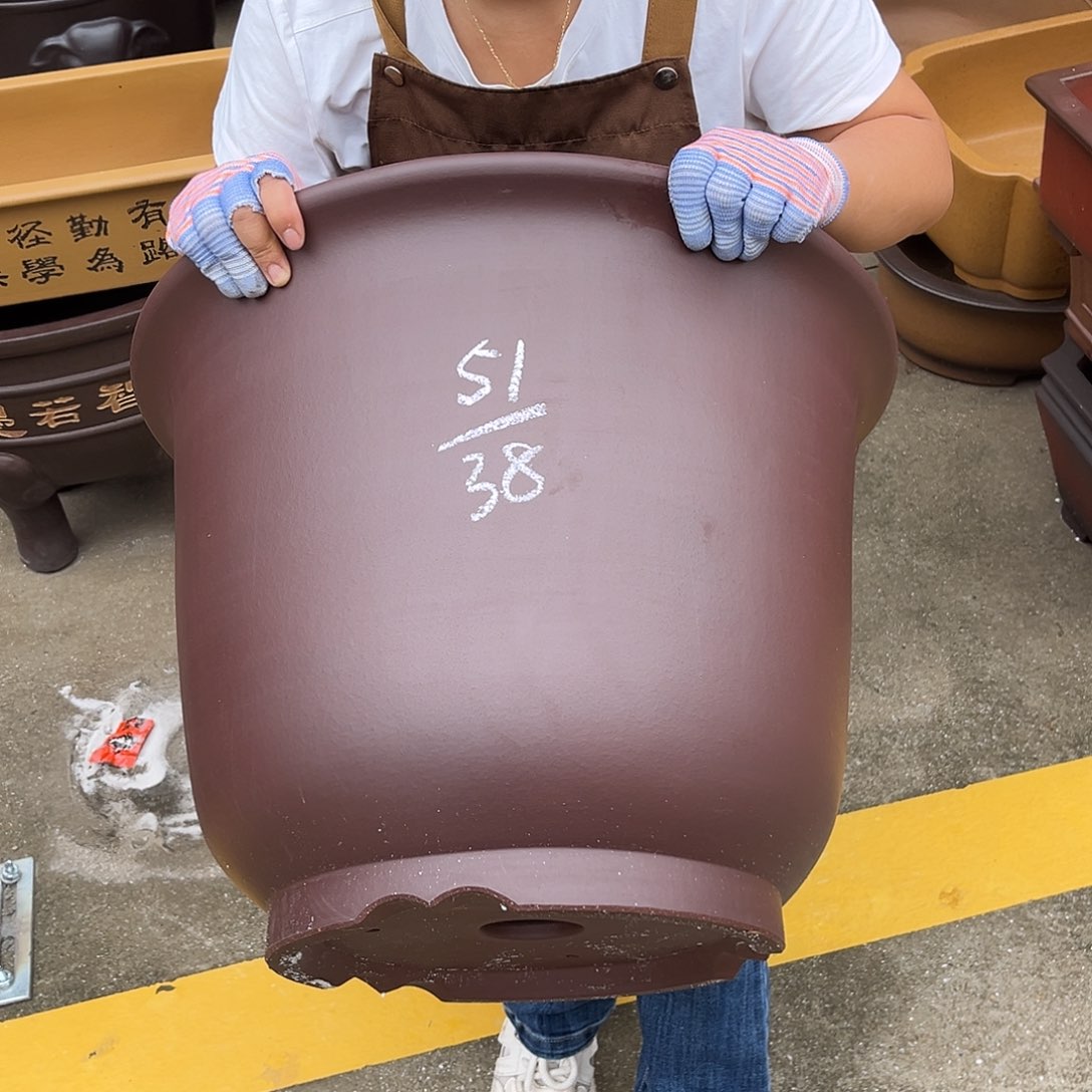 紫砂花盆盆景艺术