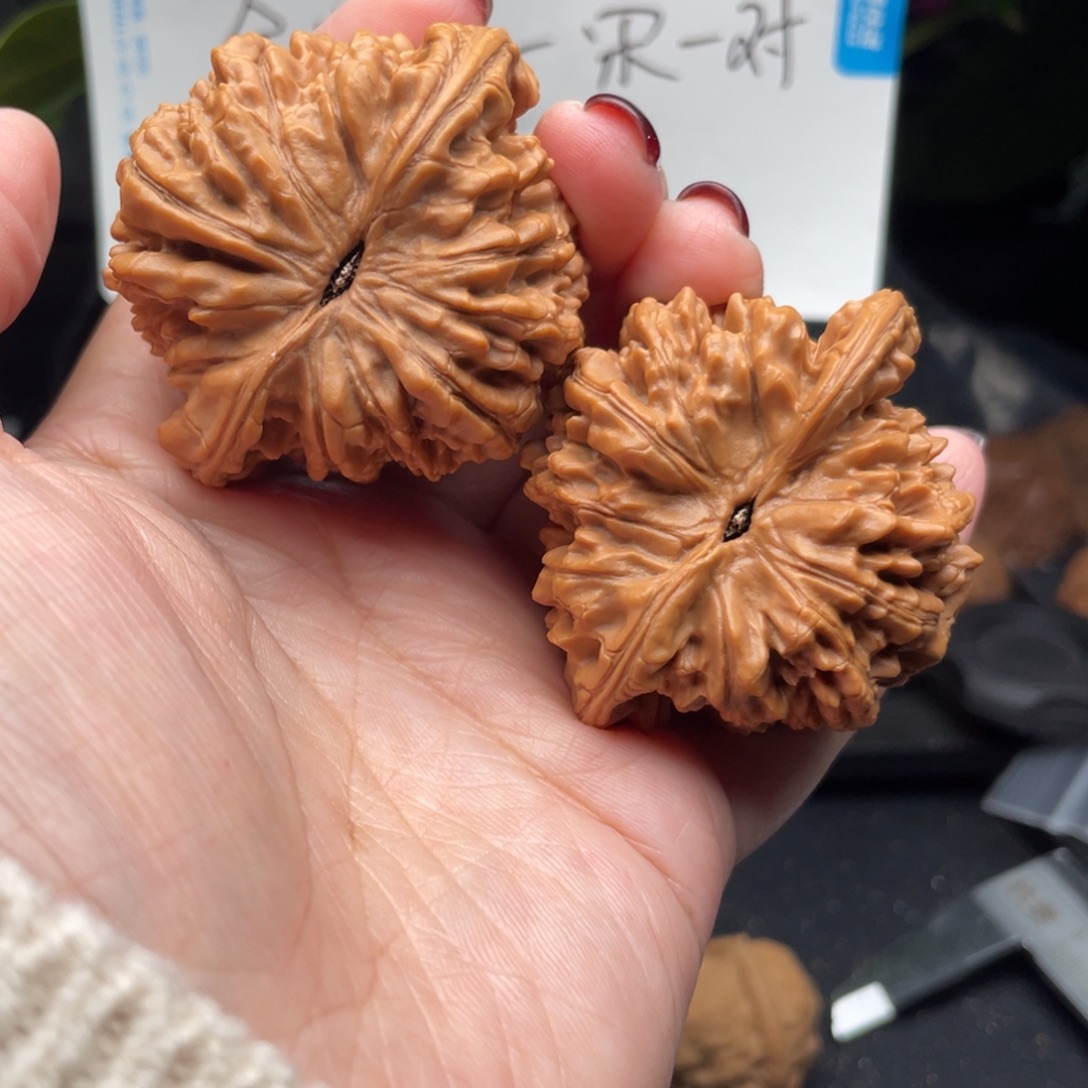 文玩核桃把件官帽微磕尖