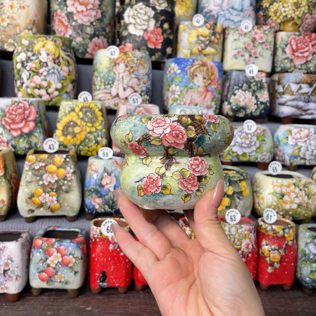 扶泥蔷薇口径7外高9