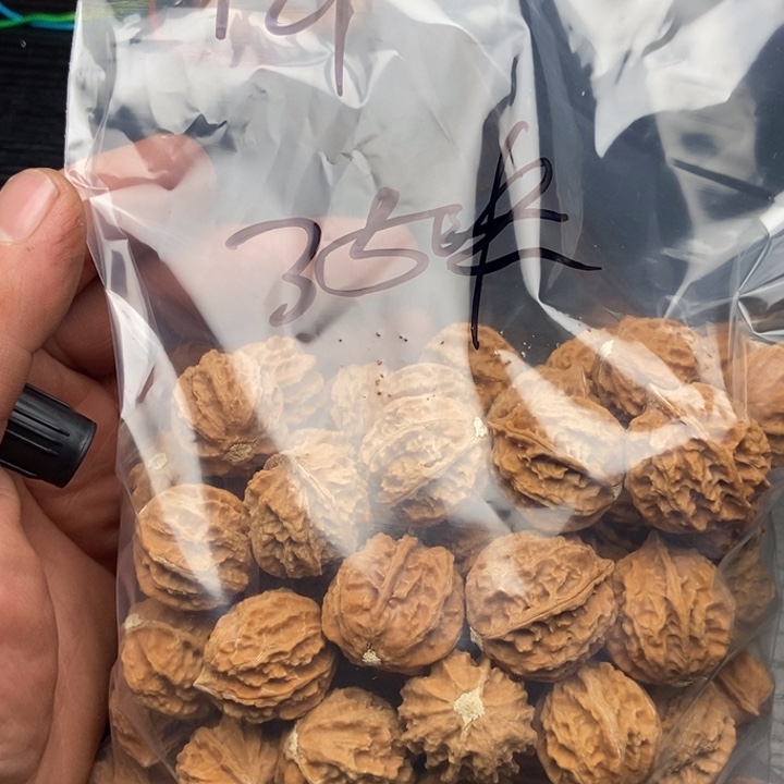 小核桃散籽72粒35元包邮