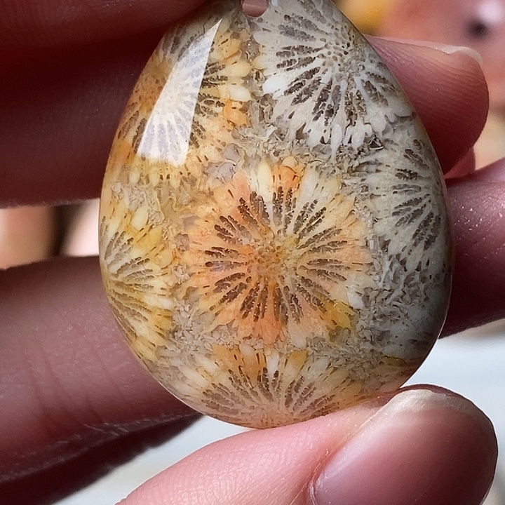 S***舍硅化玉未镶嵌颈饰