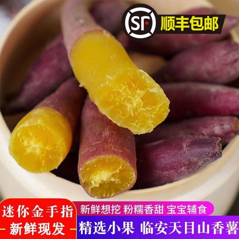 小香薯临安天目小番薯软糯香甜板栗红薯无筋黄心番薯现挖3斤包邮