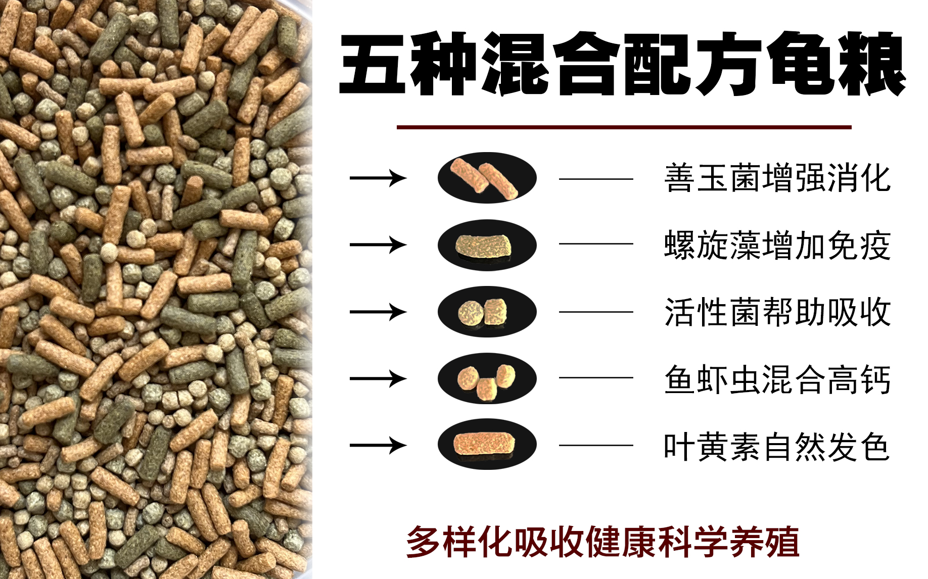 龟粮 五种混合配方龟粮 蛋龟专用粮 