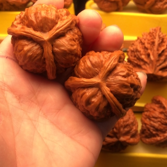 超***雄核桃核桃核桃核桃核桃核桃