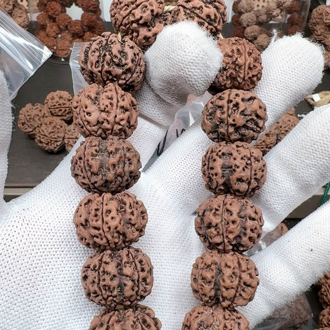 金刚菩提手串20矮桩纽扣梅花27号