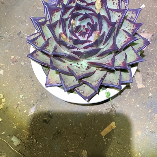 …**！每日特价活动开始啦