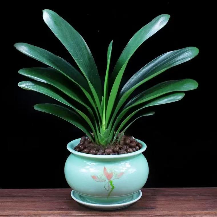 差价专拍邮费补拍