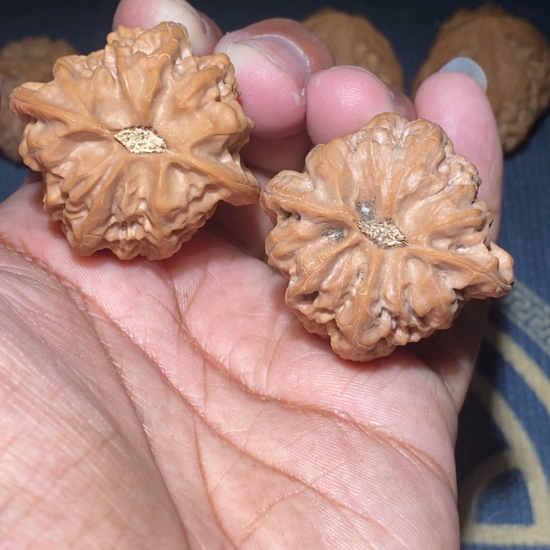 东***红文玩核桃吊坠40尺寸全品蓟县盘山佛肚