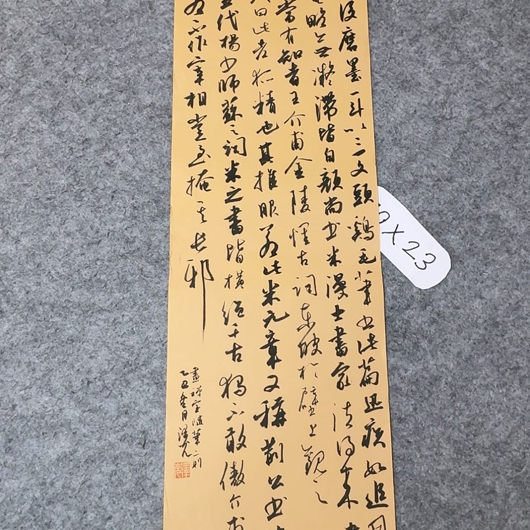 书法国展书家廖老师70×25