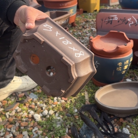 红陶紫砂花盆盆景盆栽