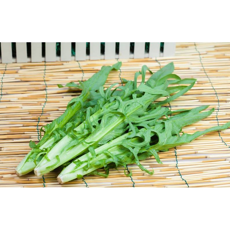 苦麻菜曲麻菜（包装袋13x19厘米）每包约800粒左右【全店满4.9包邮】