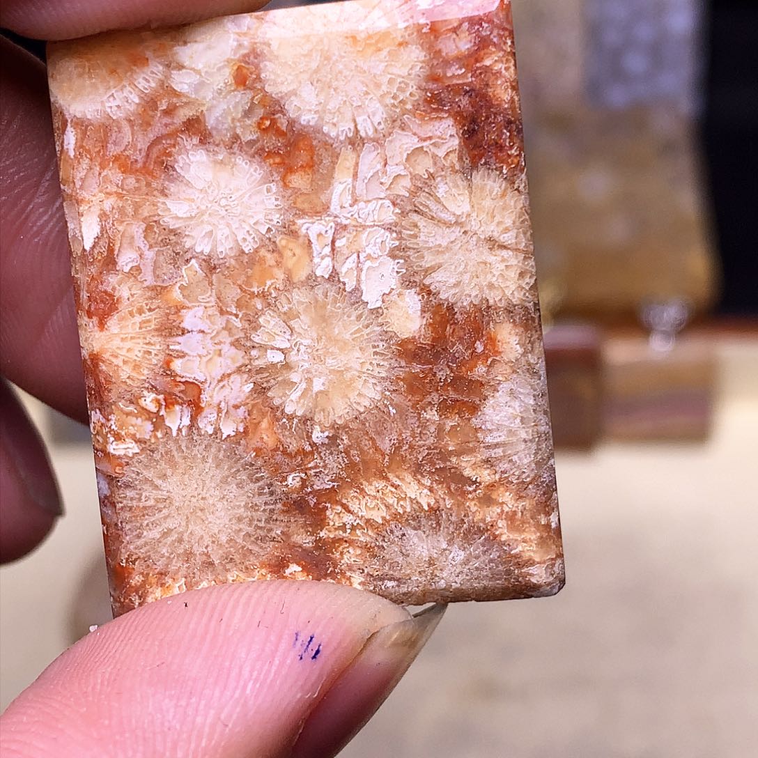 硅化玉珠宝奇石合金丽*