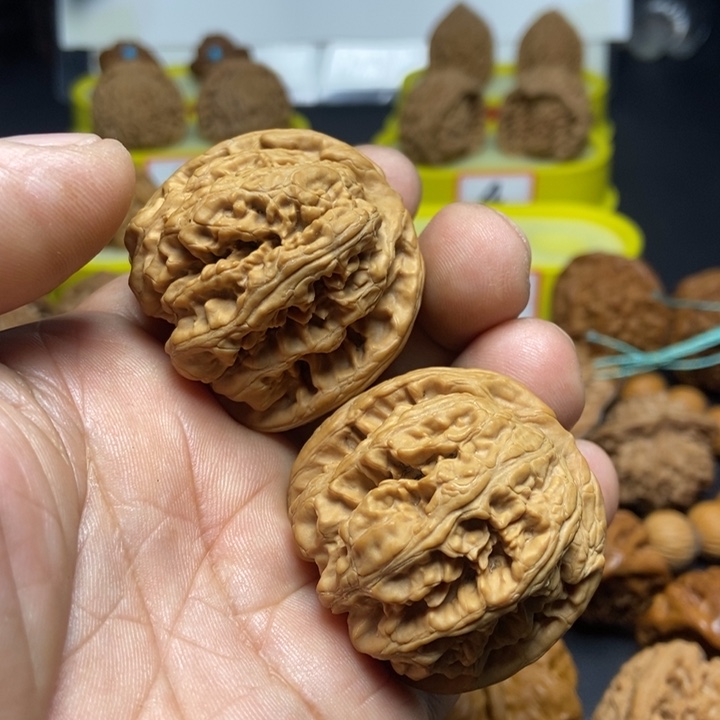 文玩核桃把件大粗筋3