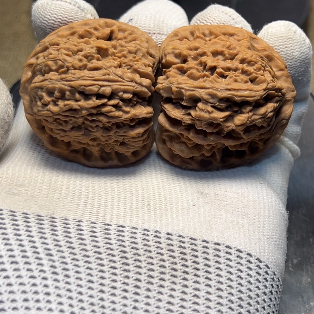 文玩核桃吊坠44赵喜满 51g 31号