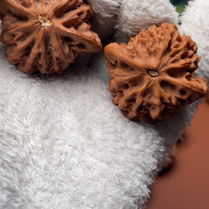 哈****秦时明月的故事也太