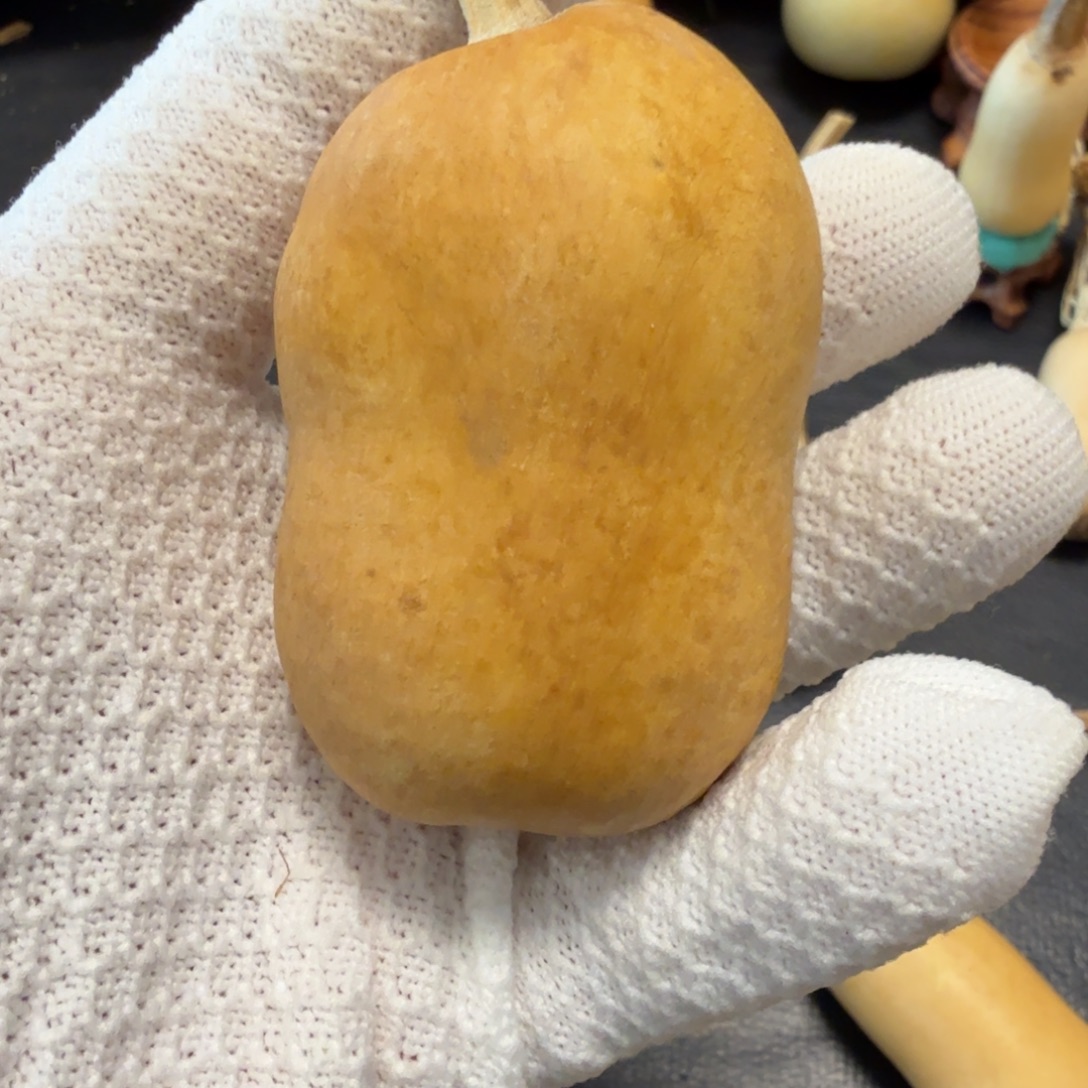 祖***贤6666666666666666666