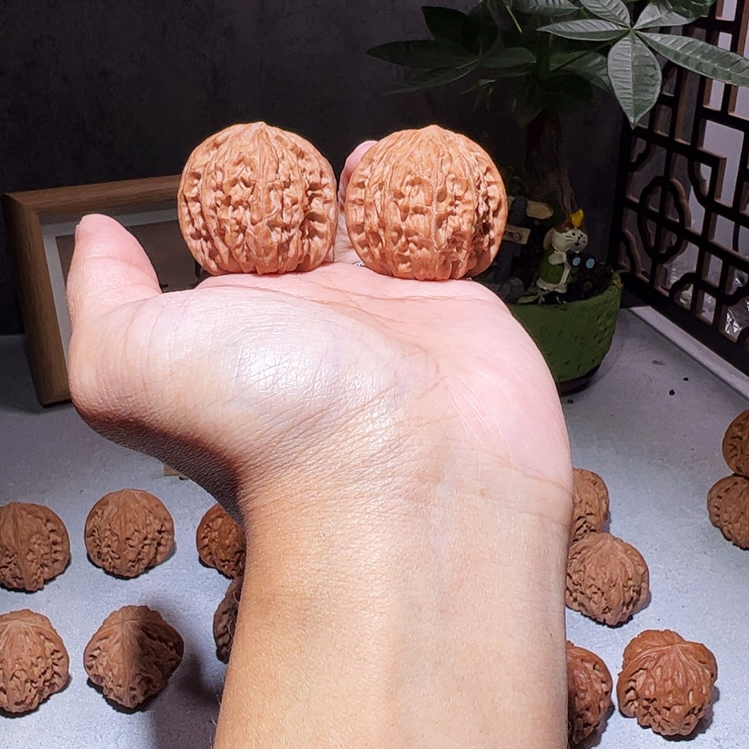 核桃38房山一代山地磨全品