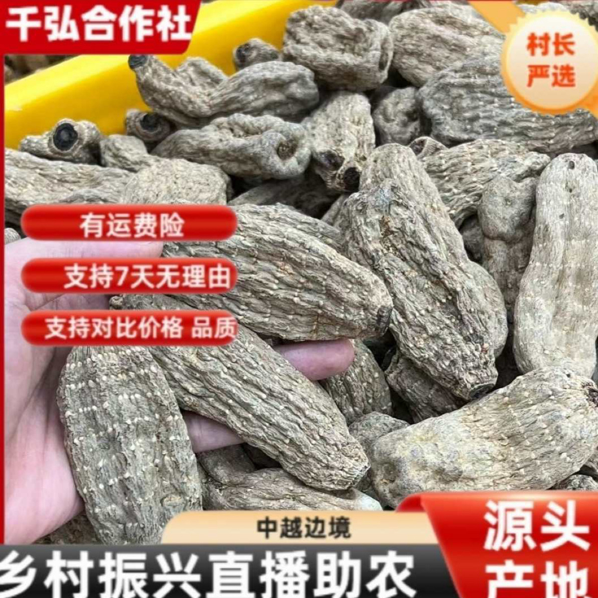 【村长严选】山野好货——精选乌天麻5