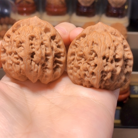 野生蓟县佛肚全品