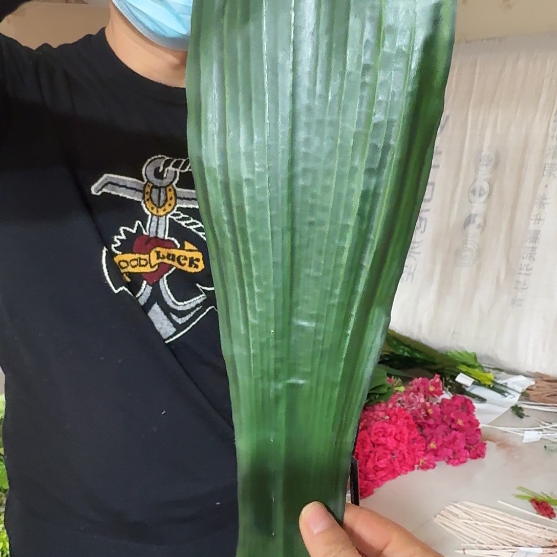 666号绿色叶子25支