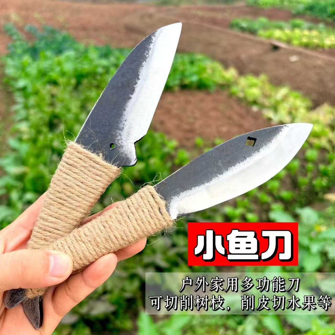 小鱼刀多功能刀户外钓鱼露营小刀可削水果切片刀