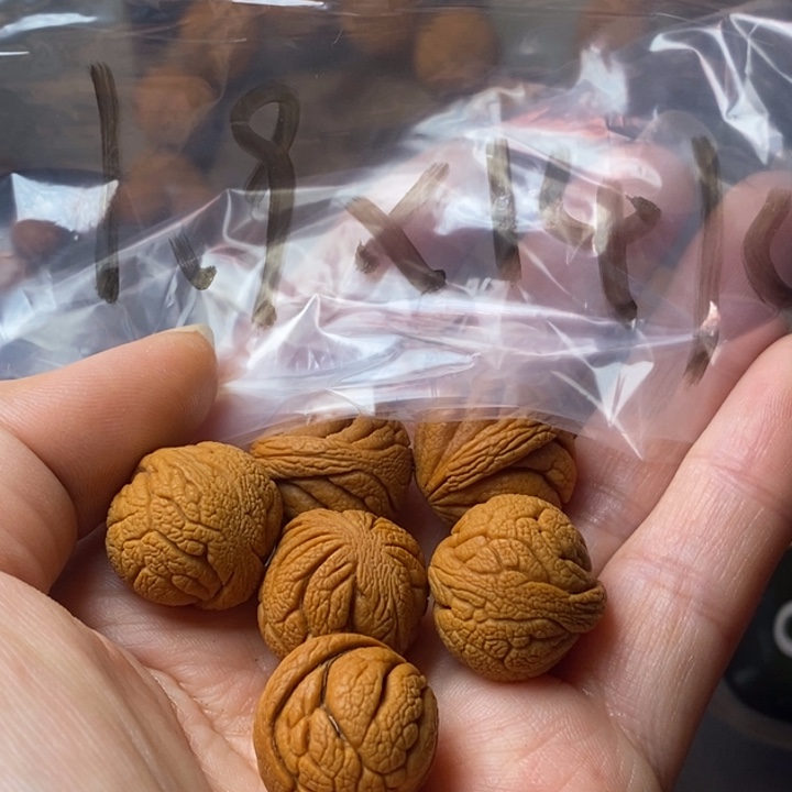 手串文玩核桃秦岭野生龙纹桃核19