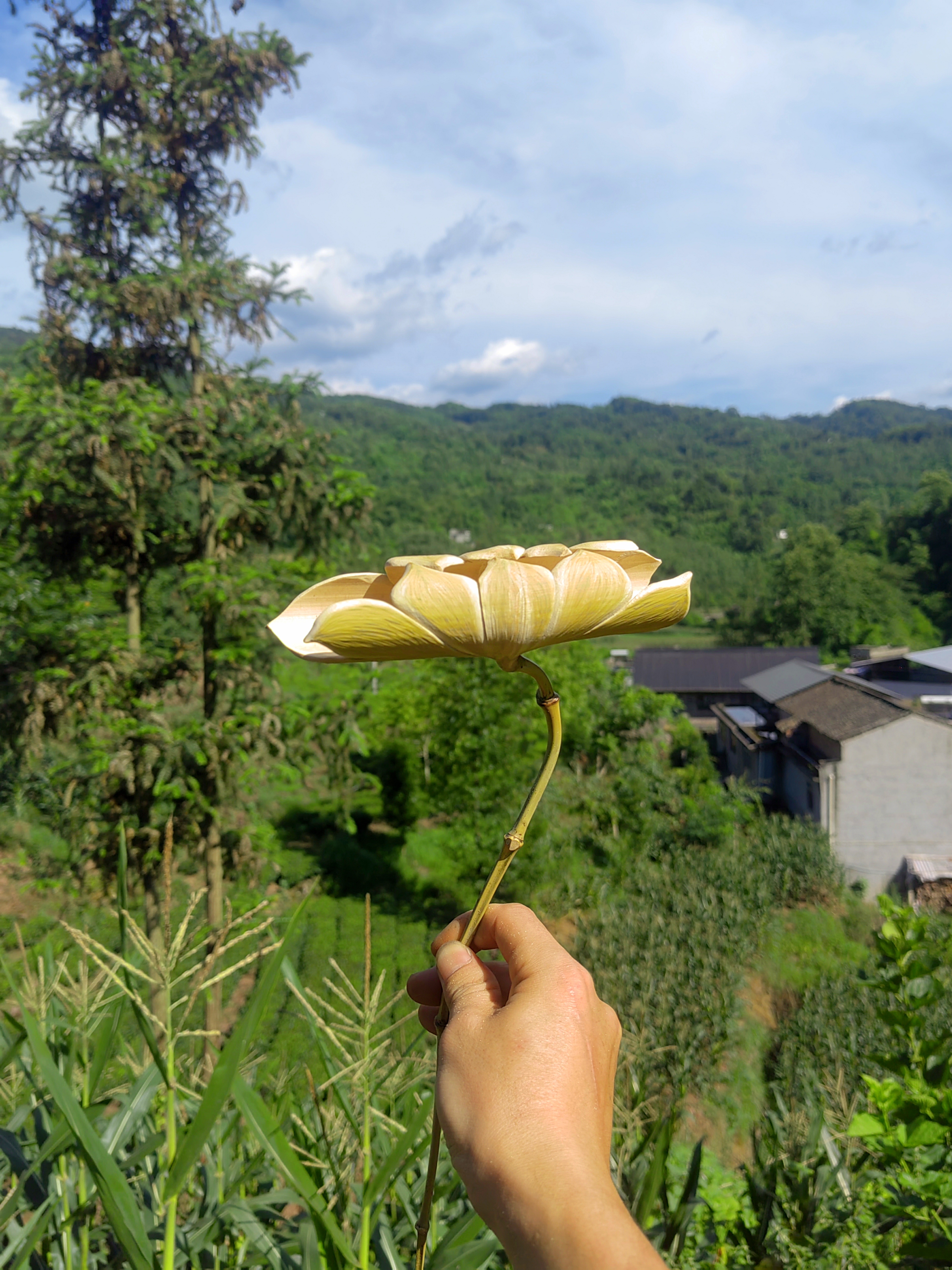 竹雕荷花摆件一体成形