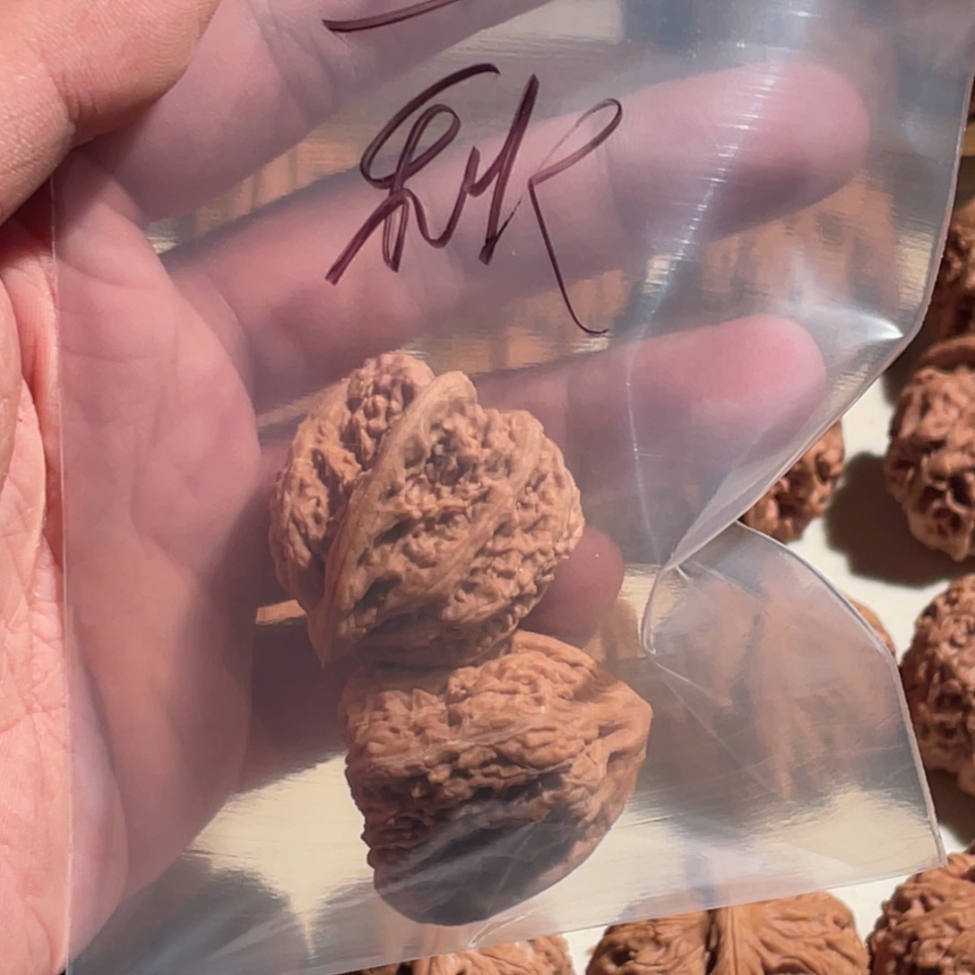 秋***32密文文玩核桃xxzxx