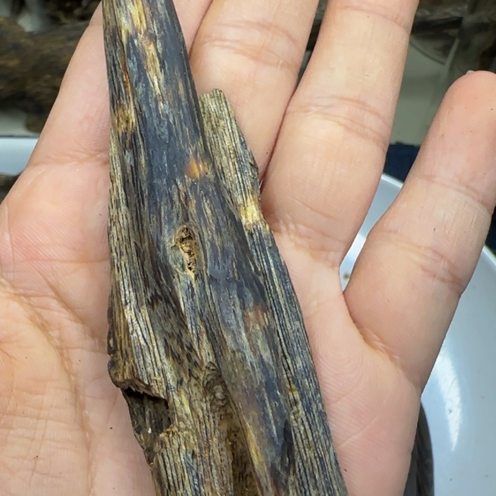 楠木三****…奇楠天然虫漏12克