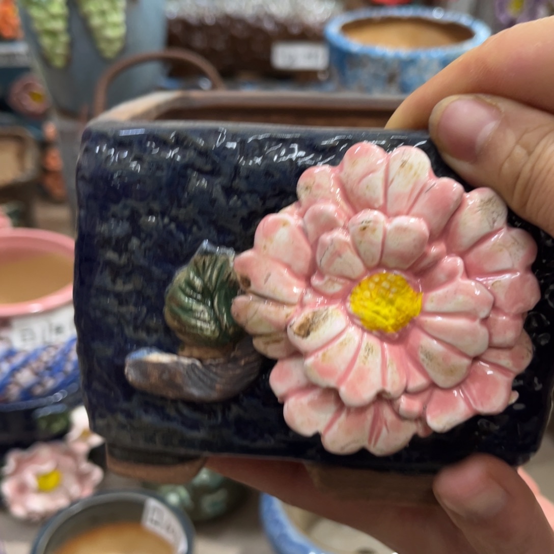 红陶福利福利福利