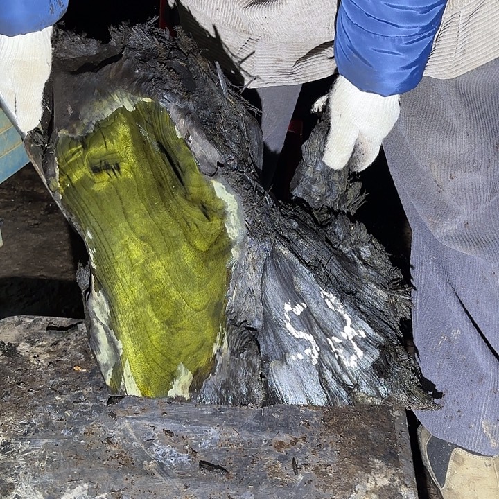 鱼***儿金丝楠金丝楠阴沉木