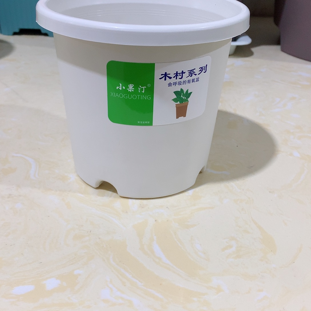 树脂四季口15白10个无托