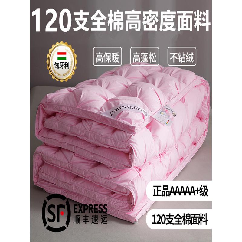 五星级酒店正品匈牙利95白鹅绒羽绒被冬被双人保暖加厚春秋被子芯