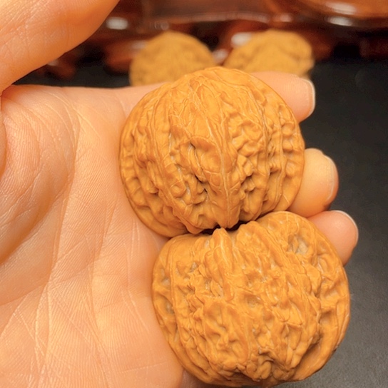 大叶紫檀（黑酸枝木类）花*熏
