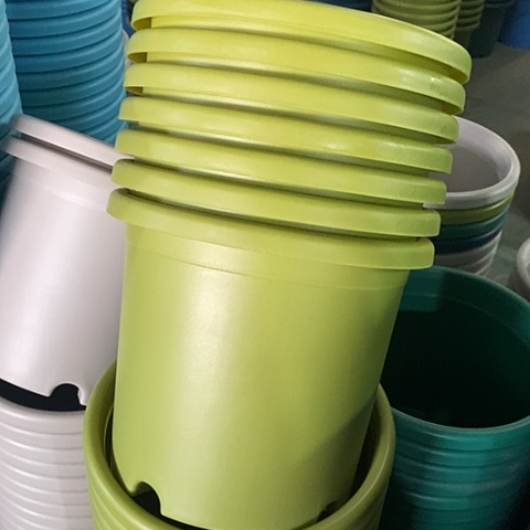 树脂特价4号8个无托果绿