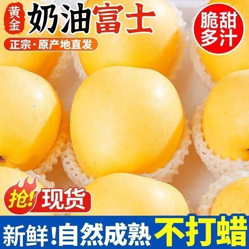 山东烟台奶油富士苹果牛奶白黄金水果脆甜维纳斯当季包邮