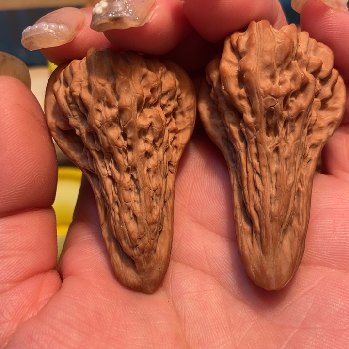 官方网站也将正式