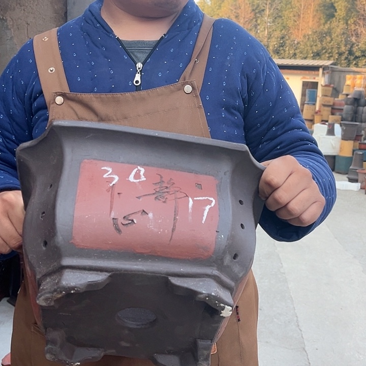 紫砂紫砂花盆盆栽