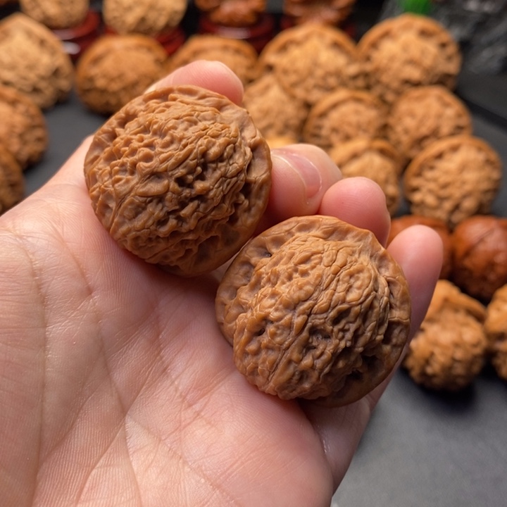 文玩核桃把件34野狮子王野核