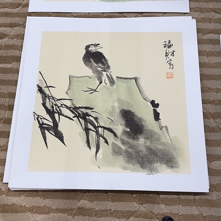 国画花鸟等多种鸟类的50.50