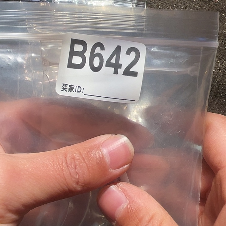 大果紫檀（缅甸花梨）642