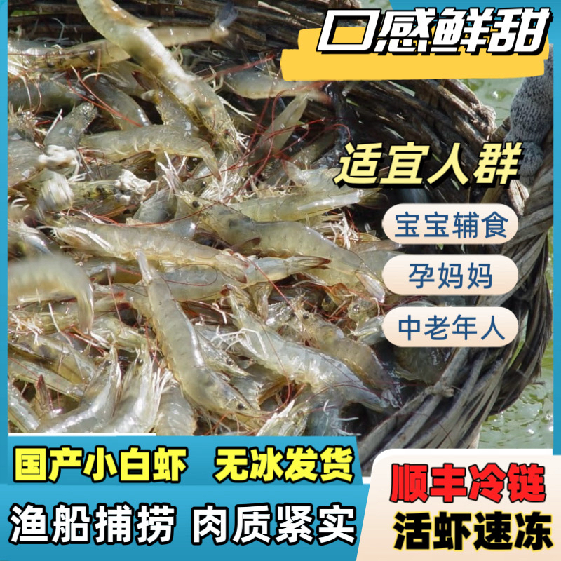 【到手6斤净重】 海捕新货小白虾 顺丰冷链 嫌小勿拍