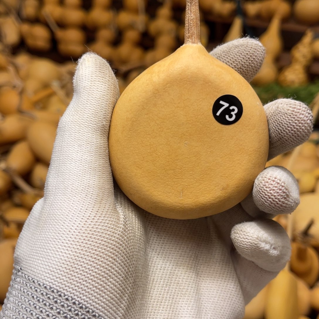 闪拍葫芦链接-73号品