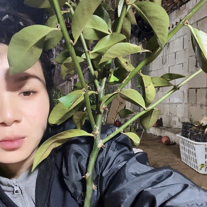 用***65658用户2316叶仙一颗7分枝