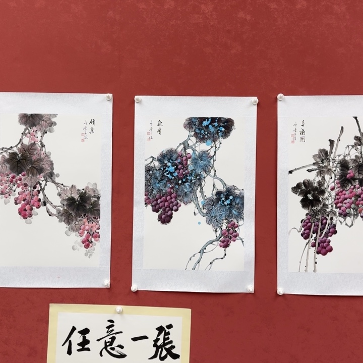 国画书画作品多次参加全国大展获奖